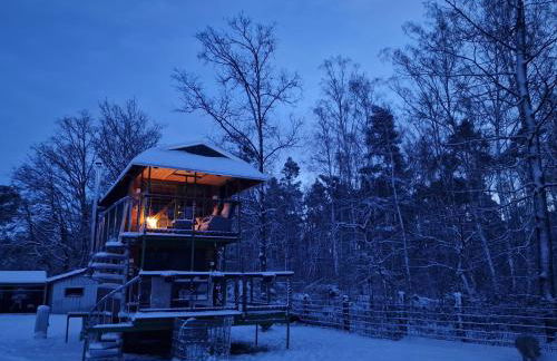 Weidmannsruh Natur pur - exklusives Tiny house - Foto 27