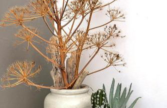 CASA di u cuginu - Foto 77