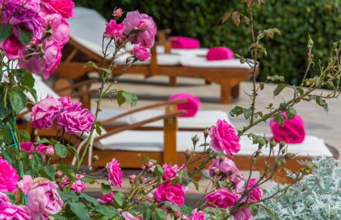 Villa Rosa - Foto 30