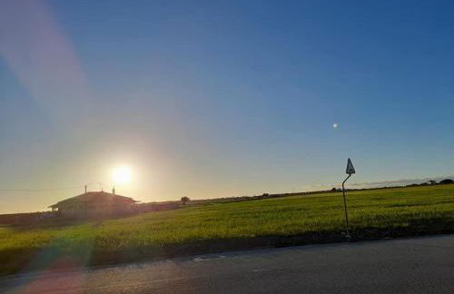 CasinhaD'Alice - Foto 55