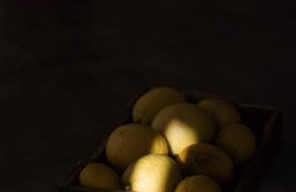 Ermal Terrace - Foto 71