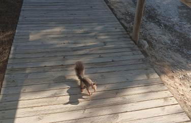 Bonito Apartamento 150 m de la playa La Mata - Foto 46