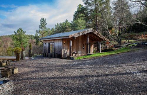 studio in the wood - Foto 1