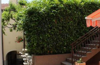 Apartments with parking space Kraj, Opatija - 7794 - Foto 8