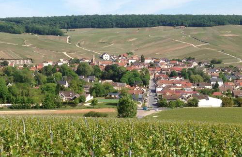 Gite Du Clos Pommier - Foto 11