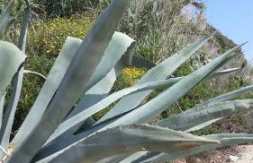 Casa Marinella - Foto 26