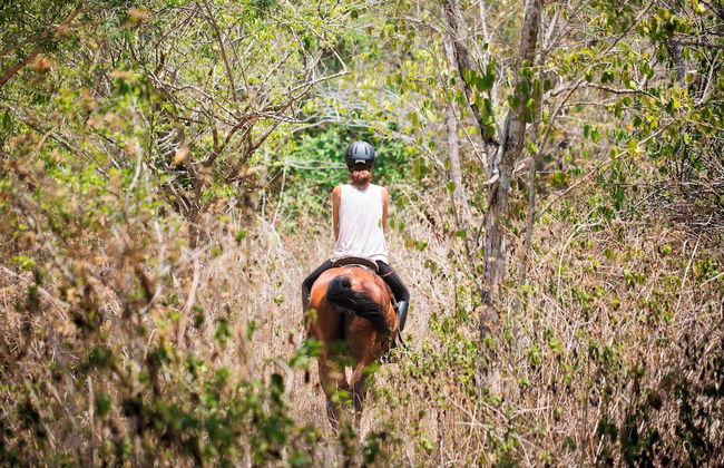 Melaya Estate by Lifestyle Retreats - Foto 18