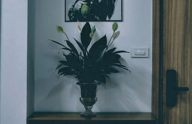 Green Bay Garden by Pi's - Foto 9