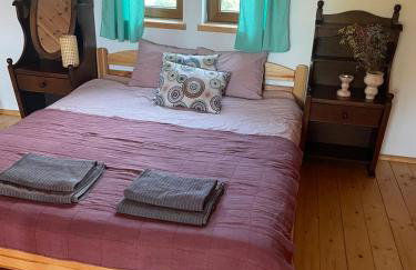 Domek z sauną i balią w Borach tucholskich - Foto 4