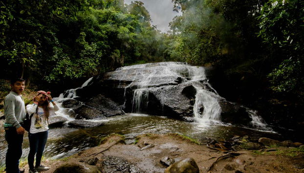 Descubriendo La Periquera