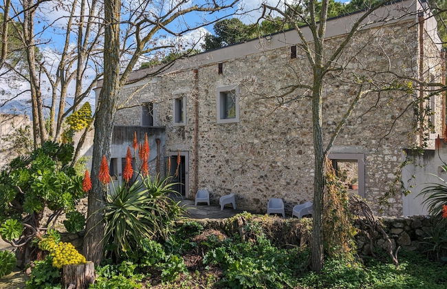 Casale Mon Rahal - Photo 36