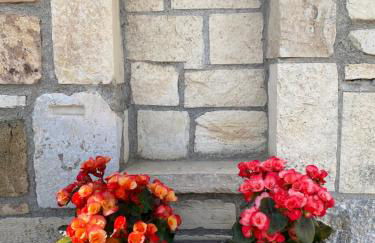 Handra Villa - Foto 8