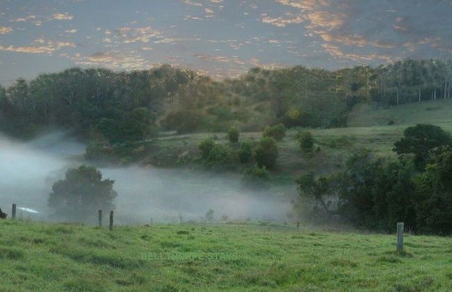 Bellthorpe Stays - Foto 54