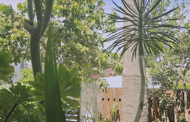 122 VOR - Stay Cactus House - Foto 32