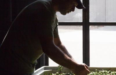 Azienda Agricola Mandranova - Foto 59