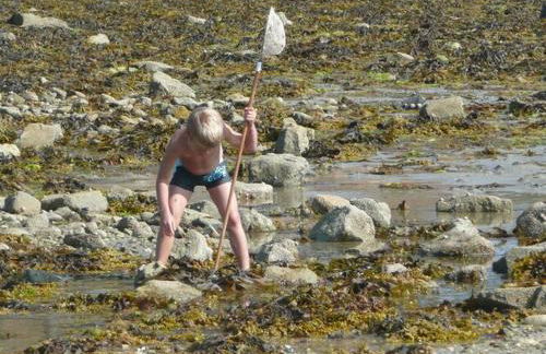 Villa in Primel with Sea View and Beach Access - Photo 48