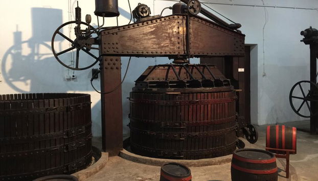 Serbie centrale : Montagne d'Avala et Complexe royal d'Oplenac - Visite privée d'une journée - Photo 2