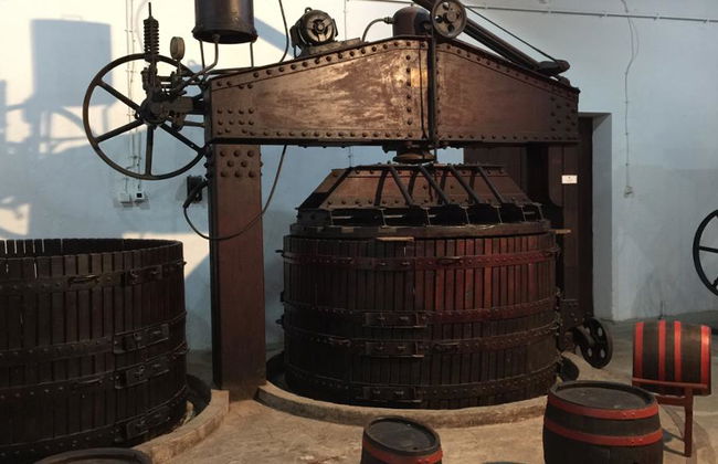 Serbie centrale : Montagne d'Avala et Complexe royal d'Oplenac - Visite privée d'une journée - Photo 2