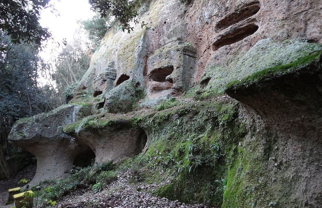 Agriturismo Bio Aia della Colonna - Foto 63