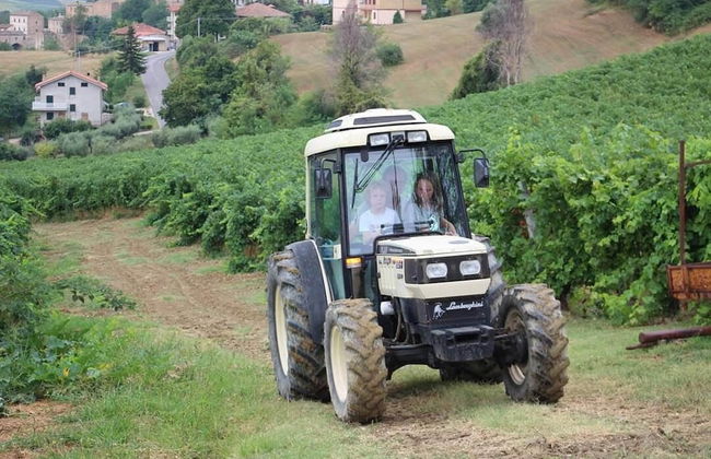 Agriturismo Terre Vineate - Foto 34