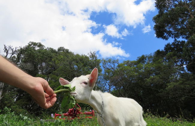 Make It Happen Farm - Foto 33