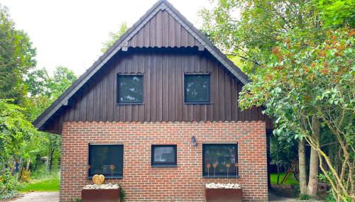 Ferienhaus CURIA Alfsee Rieste max 10 Pers 2 Baby - Foto 5