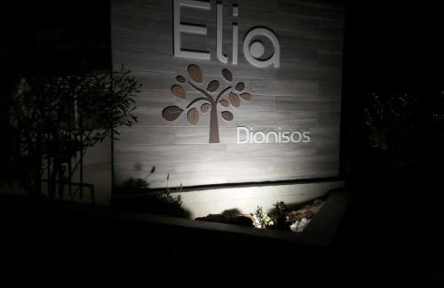 Dionisos Elia - Foto 5