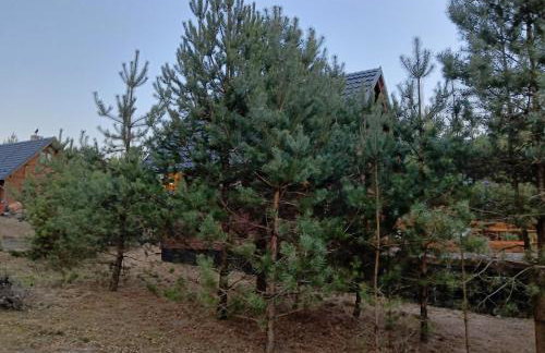 Osada Blanka Leśny Zakątek Jezioro Rzeka Swornegacie - Foto 68