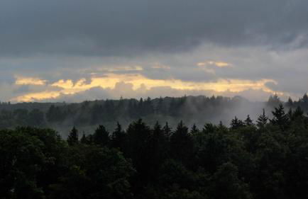 Schwarzwald Chalet Auwald - Foto 42