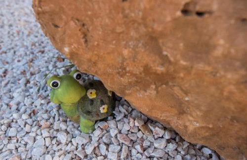 Dekem Residence - Foto 13