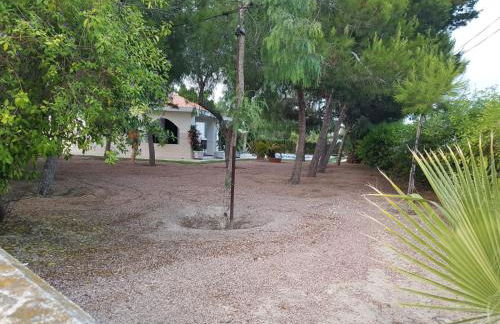 Chalet Bacarot - Photo 45