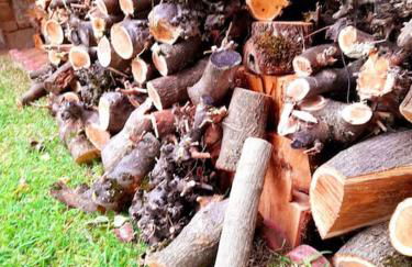 Το σπίτι του Γιάννη - Foto 11