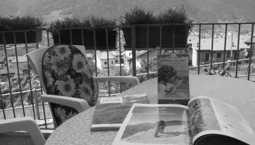 La Madonnina - Photo 4