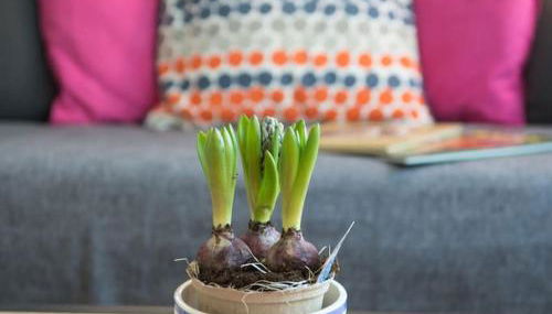 Au Gîte d'Isigny - Maison de vacances - Normandie - Foto 2