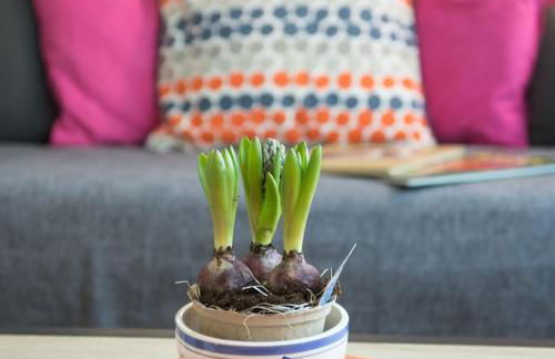 Au Gîte d'Isigny - Maison de vacances - Normandie - Foto 2