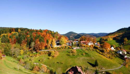 Ferienwohnung Fürstenkopf - Foto 1