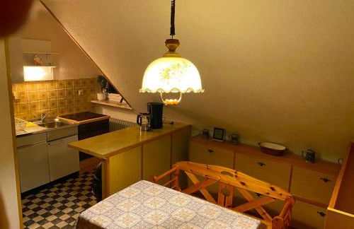 Ferienwohnungen / Ferienhaus Dillingen an der Donau - Foto 28