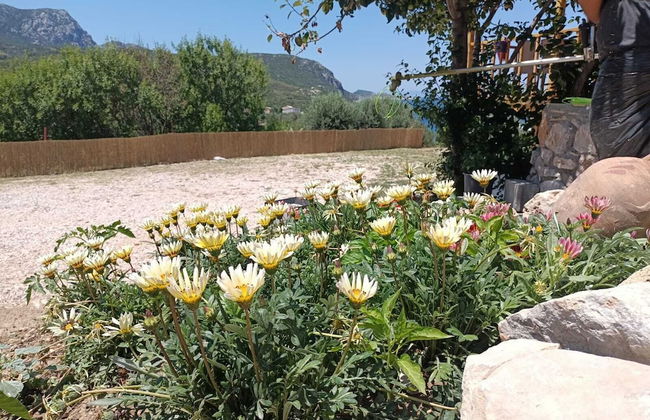 Hayela Bungalov Otel ve Restaurant - Foto 24