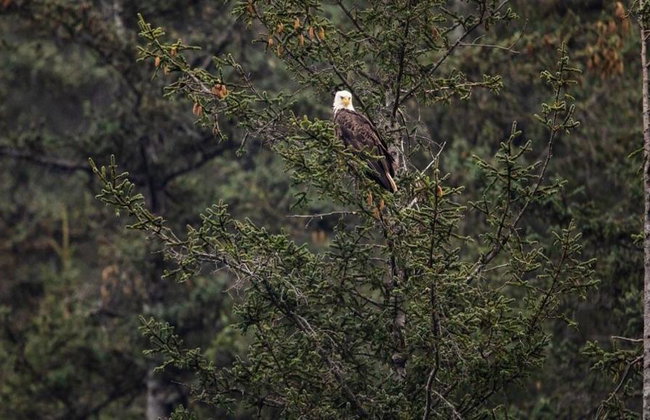 Northwestern Fjord Tour - Foto 6
