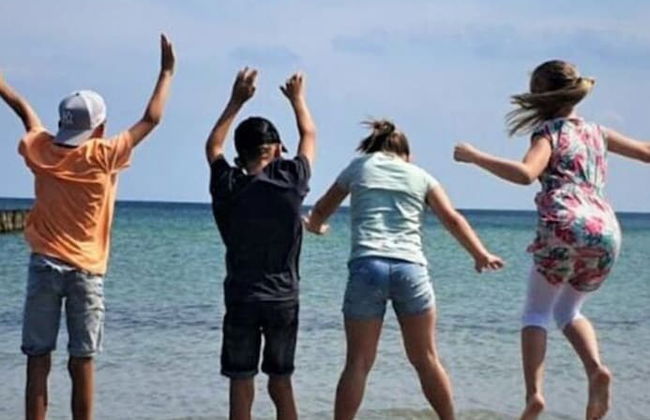 Farm Ferienhof Albert - Photo 5