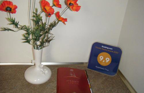 Apartament Tina - Foto 9