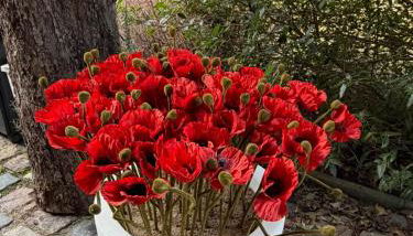 L'atelier au jardin - Foto 2, Garden