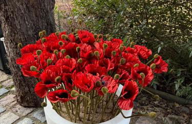 L'atelier au jardin - Foto 2