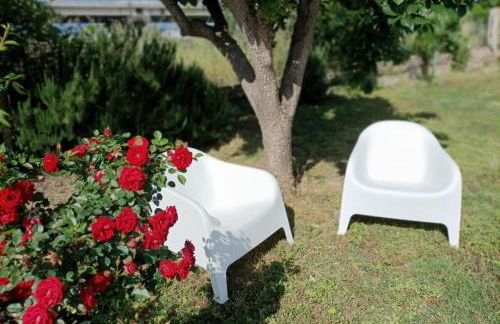 Casa Vacanze APPARTAMENTO NONNA SILVANA - Foto 14