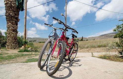 Dimitra Apartments Zakros Village - Photo 64