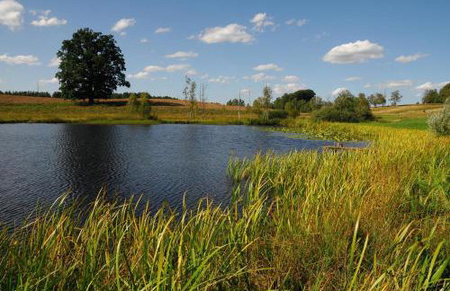 "Dolina szczęścia" Kartkowo - Foto 32