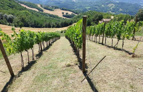 Luxury Villa with Pool, Stunning Location - Foto 32