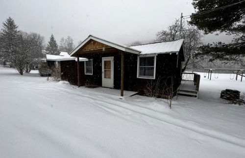 Homey Pet-Friendly Cabin Rental for Groups in the Catskills - Foto 1