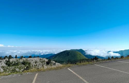 Les myrtilles La Pierre Saint Martin - Foto 10