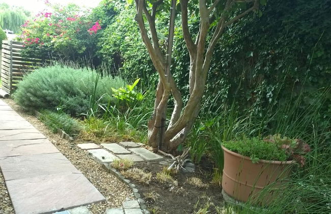 Theebos Anneline's Self Catering Apartments - Photo 21